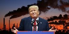 Donald Trump "Dikutuk" Pesohor Teknologi